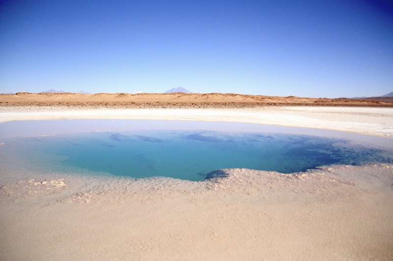 argentine tolar grande