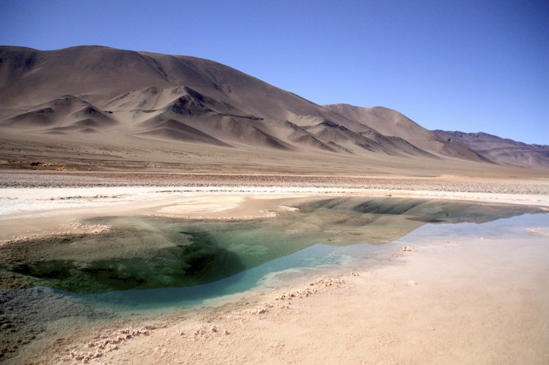 argentine tolar grande