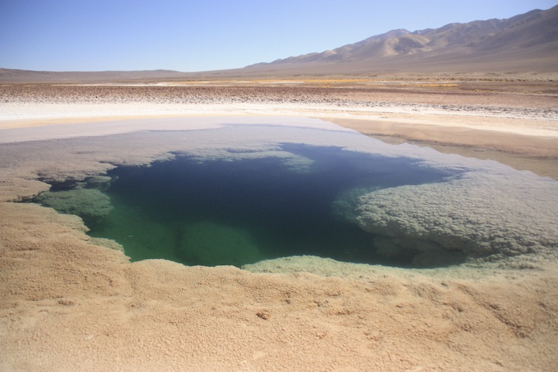 argentine tolar grande