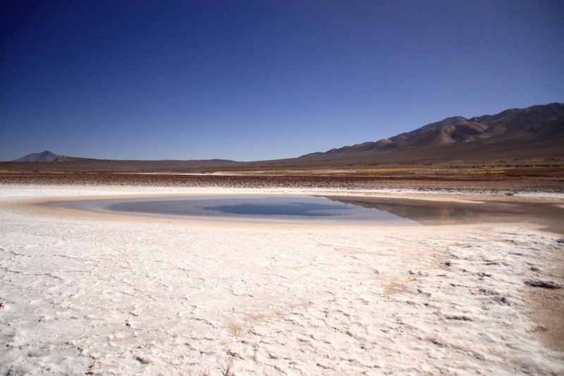 argentine tolar grande