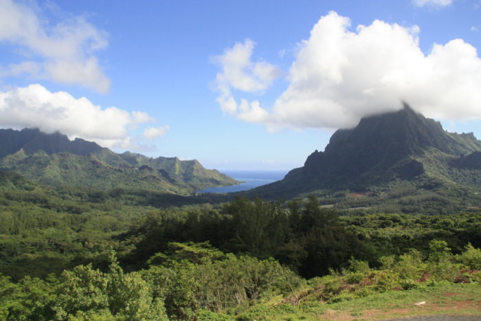 Moorea polynésie