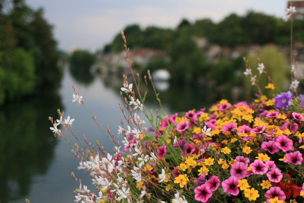 Découverte de la Seine et Marne