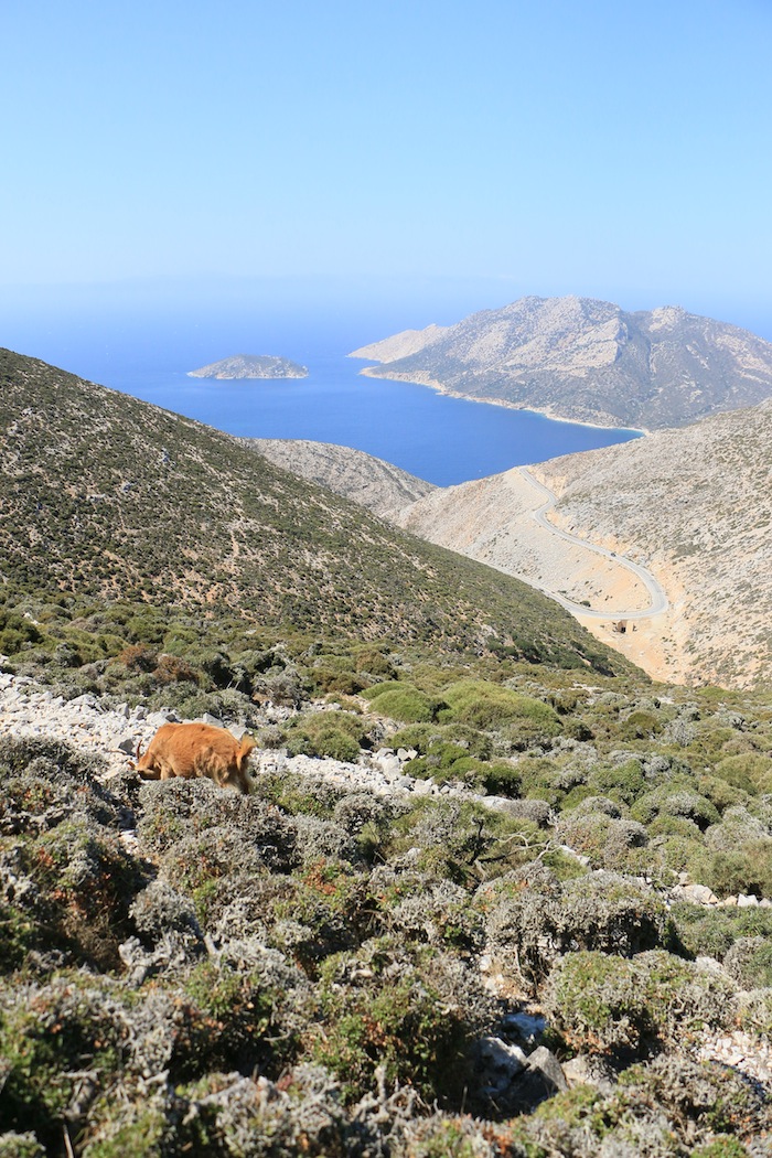 amorgos