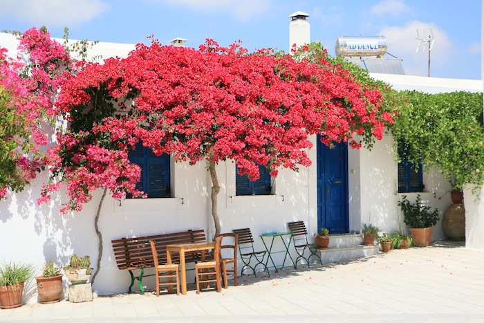 Lîle De Paros Que Voirque Faire Les Love Trotteurs