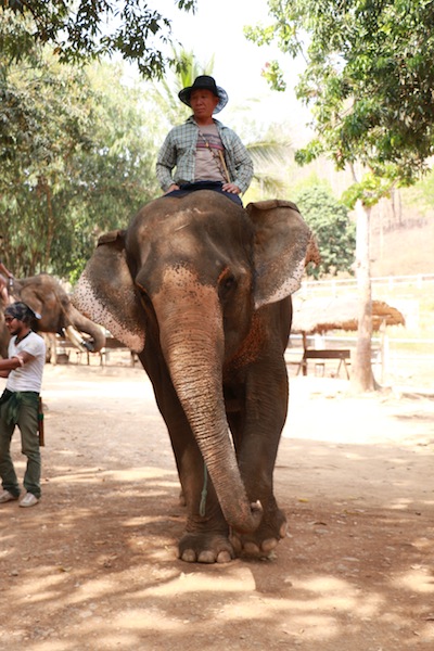 Chiang Mai Thailande