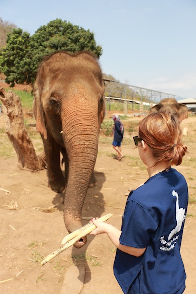 Chiang Mai Thailande