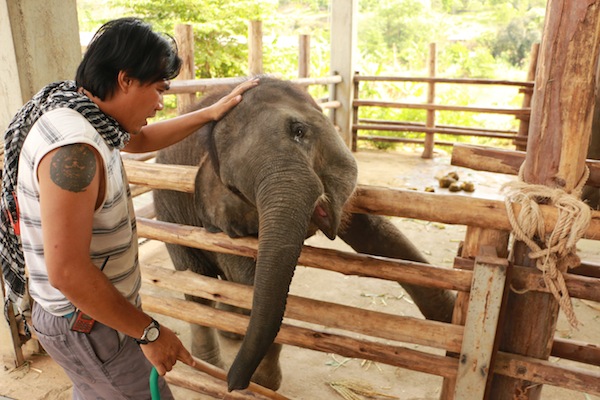 Chiang Mai Thailande