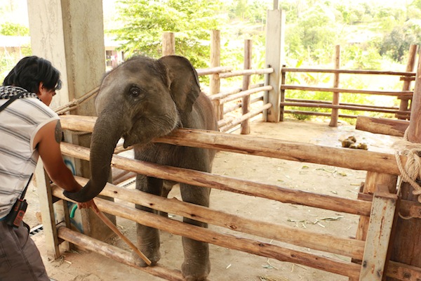 Chiang Mai Thailande