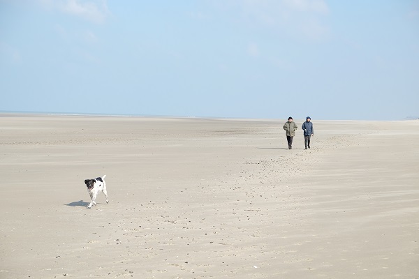 fort-mahon plage