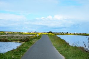 passage du Martray