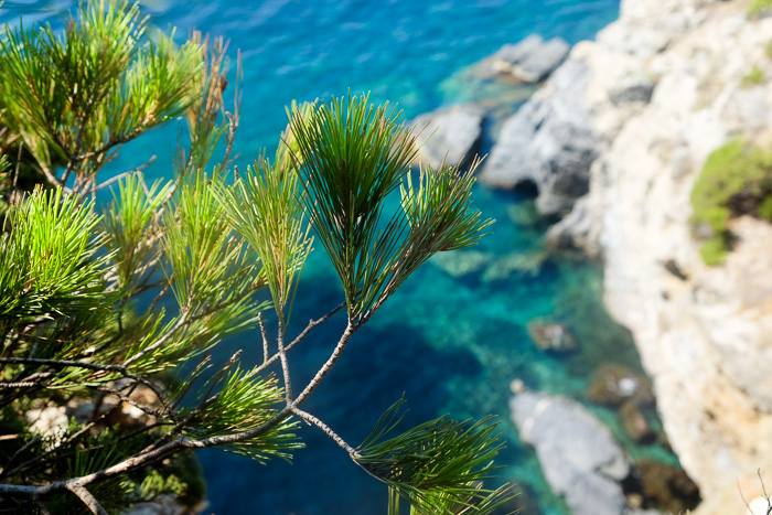 presqu'île de Giens et Hyères