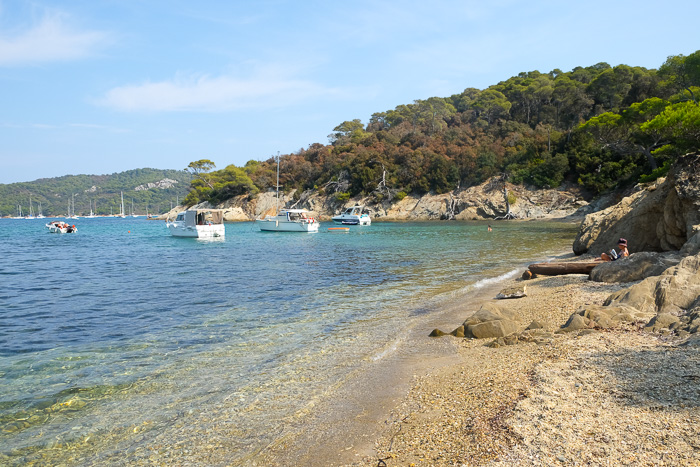 Porquerolles Plage d'alicastre