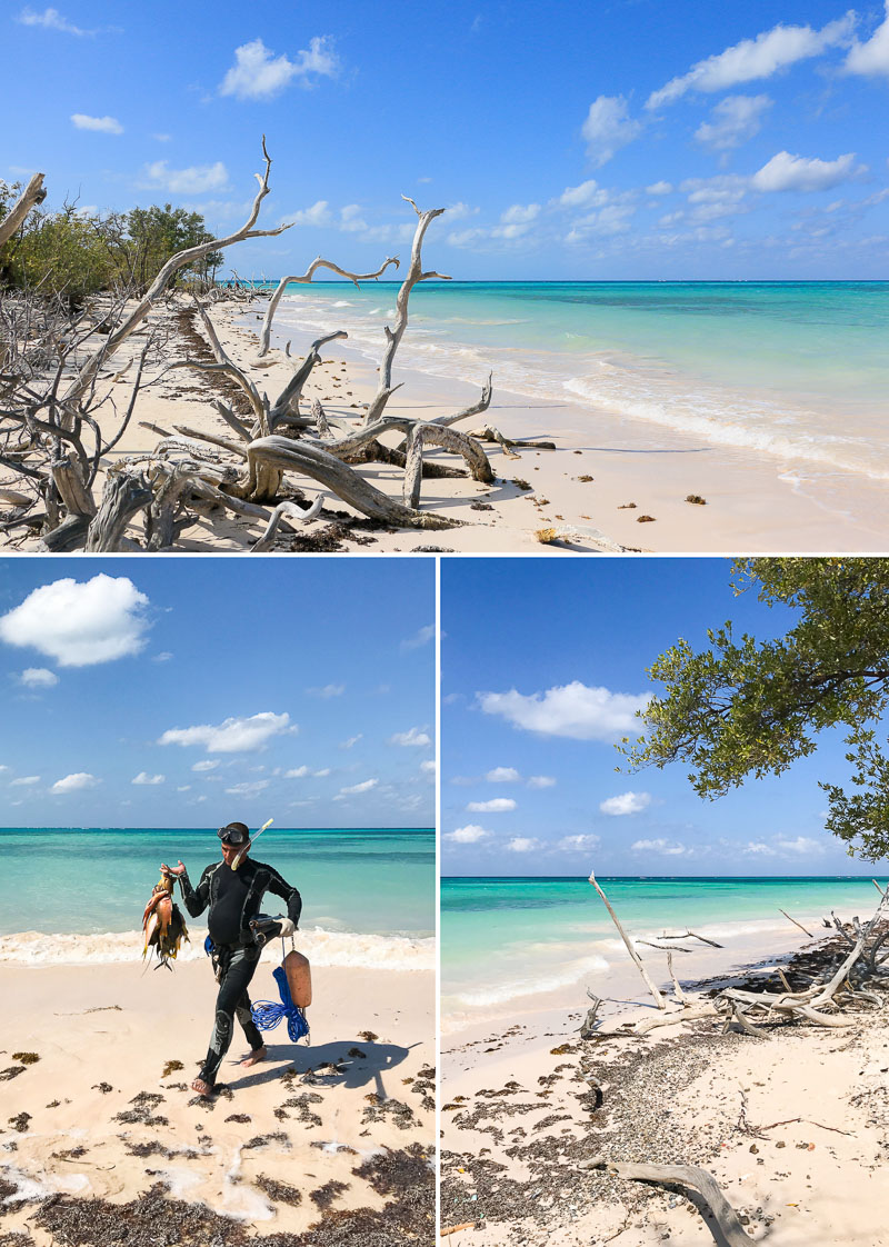 cayo jutias cuba