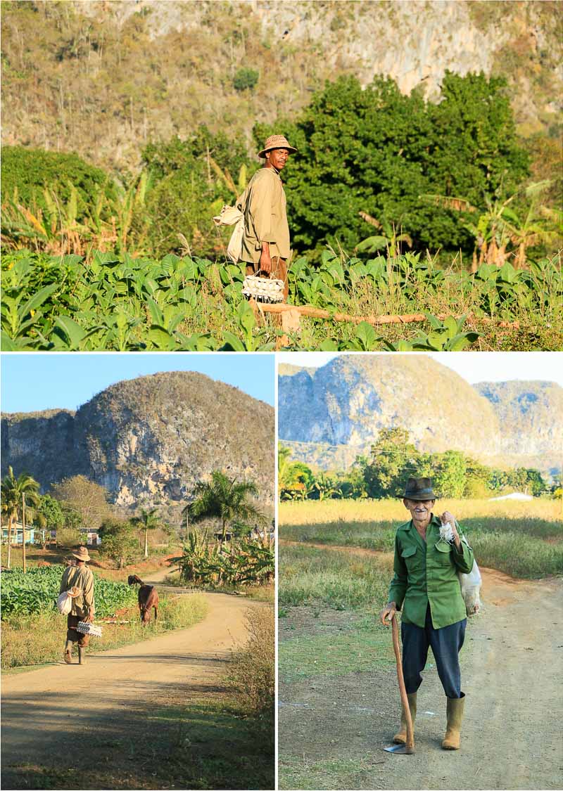 vinales fermiers