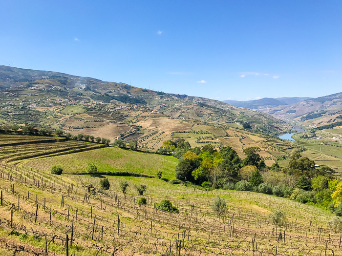 Vallée du Douro porto