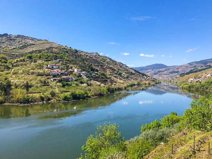 Vallée du Douro porto