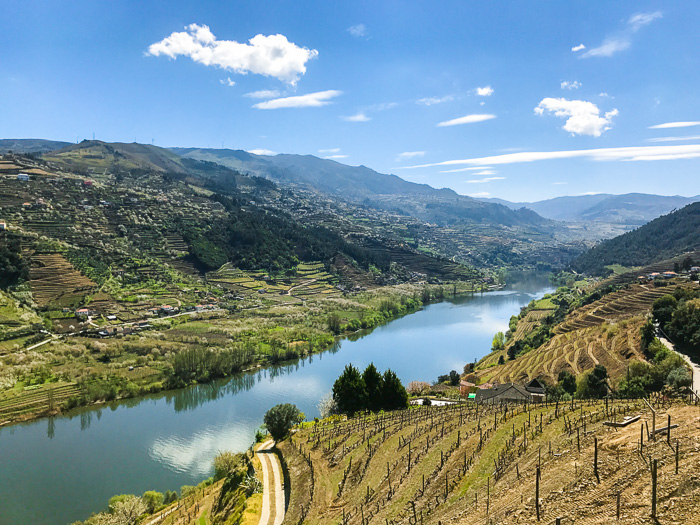 Vallée du Douro porto