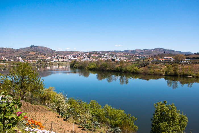 Vallée du Douro porto