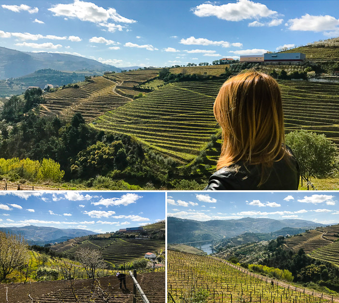 Vallée du Douro porto