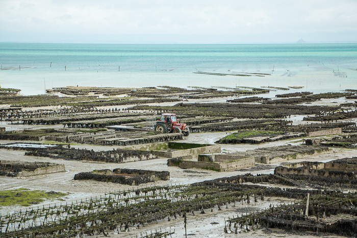 Cancale Pointe du Grouin