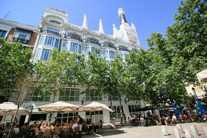 Jardin botanique Madrid