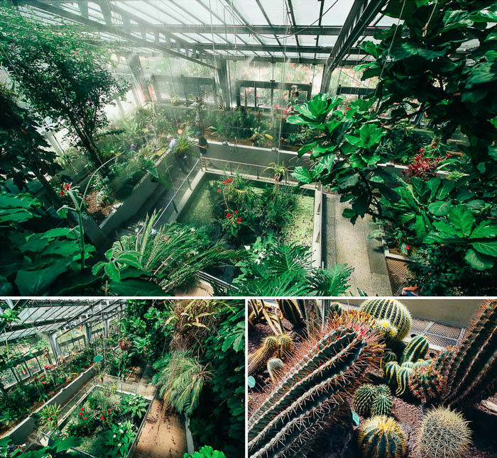 Jardin botanique Madrid