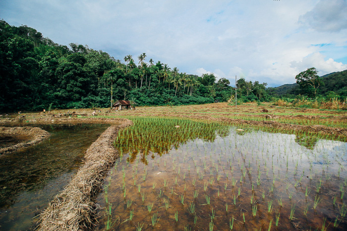 île de Borneo Malaisie