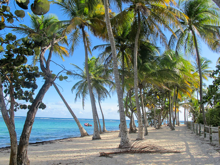 guadeloupe caraibes