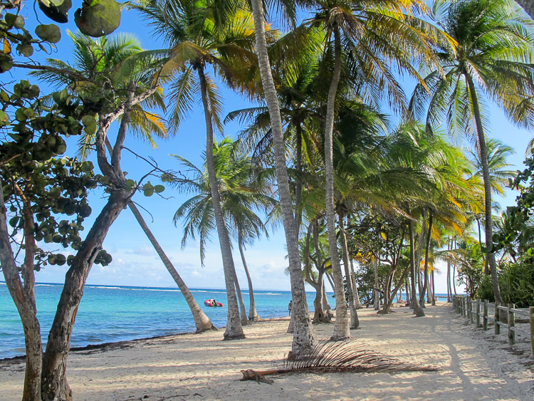 guadeloupe caraibes