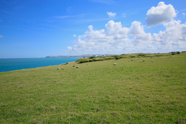 Cap gris nez