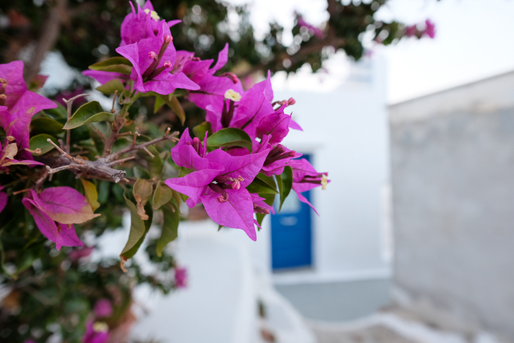 serifos cyclades