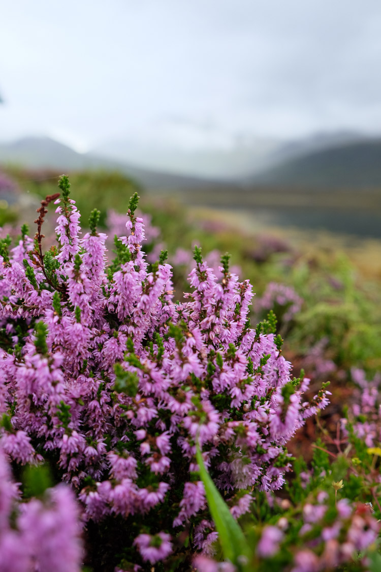 île de Skye Ecosse