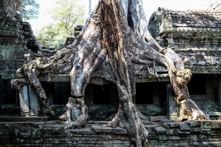 Angkor Cambodge