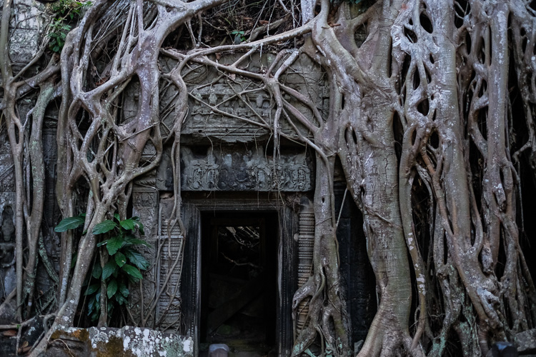 Angkor Cambodge