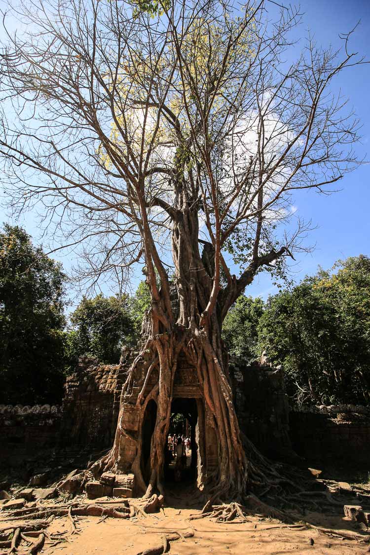 Angkor Cambodge