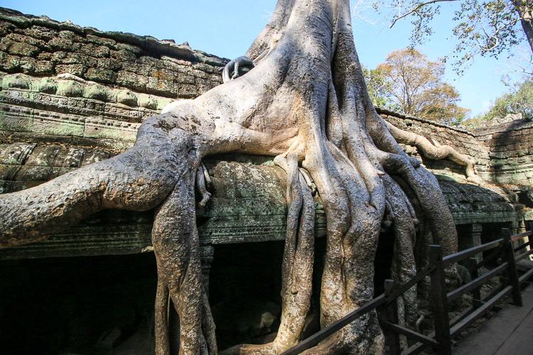 Angkor Cambodge