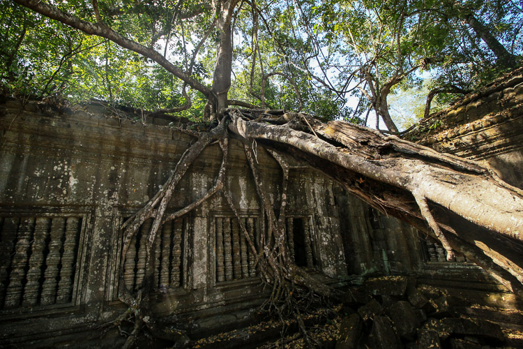 Angkor Cambodge