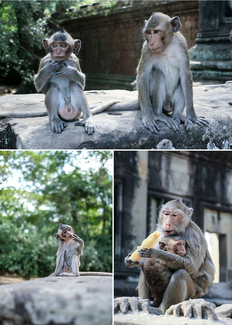 Angkor Cambodge