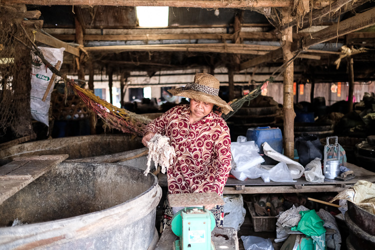 battambang