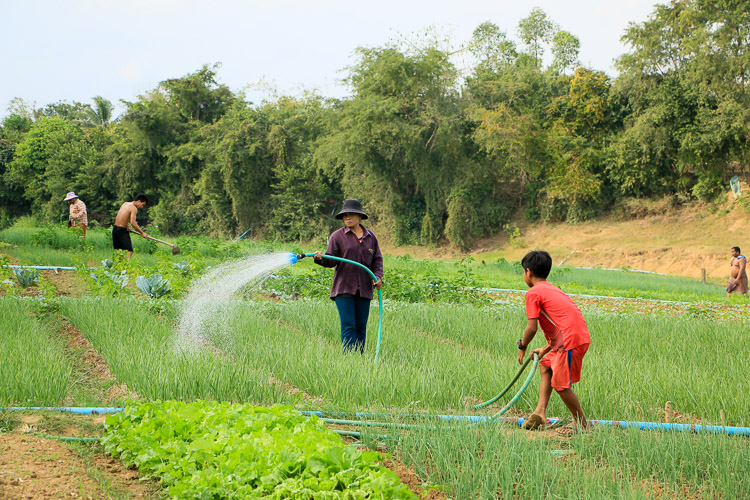 battambang