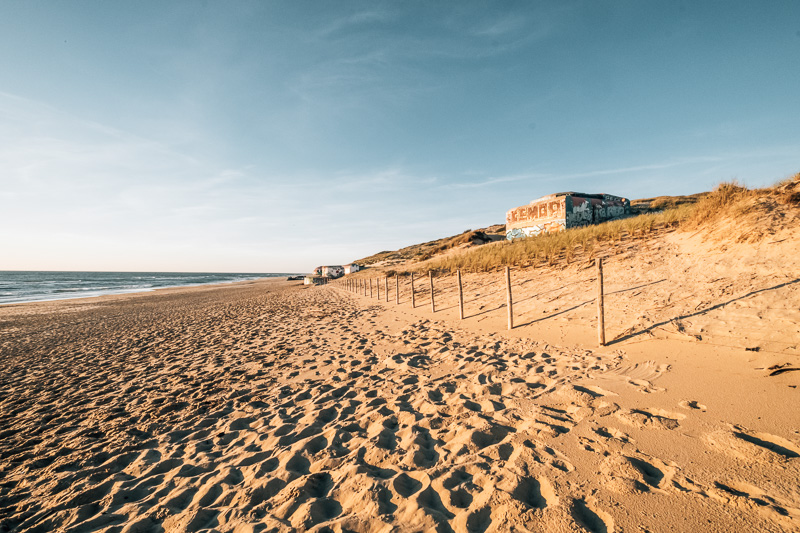 Cap Ferret