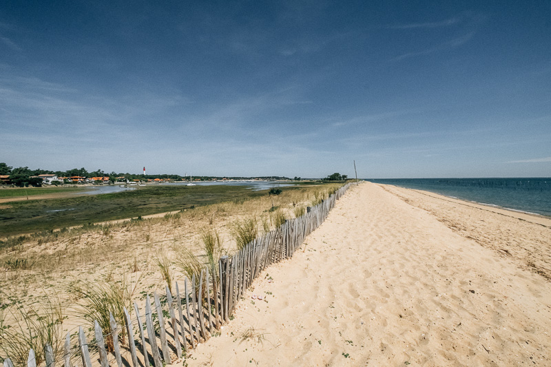 Cap ferret