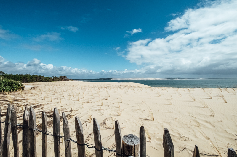 Dunes du cap ferret