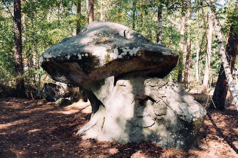 fontainebleau