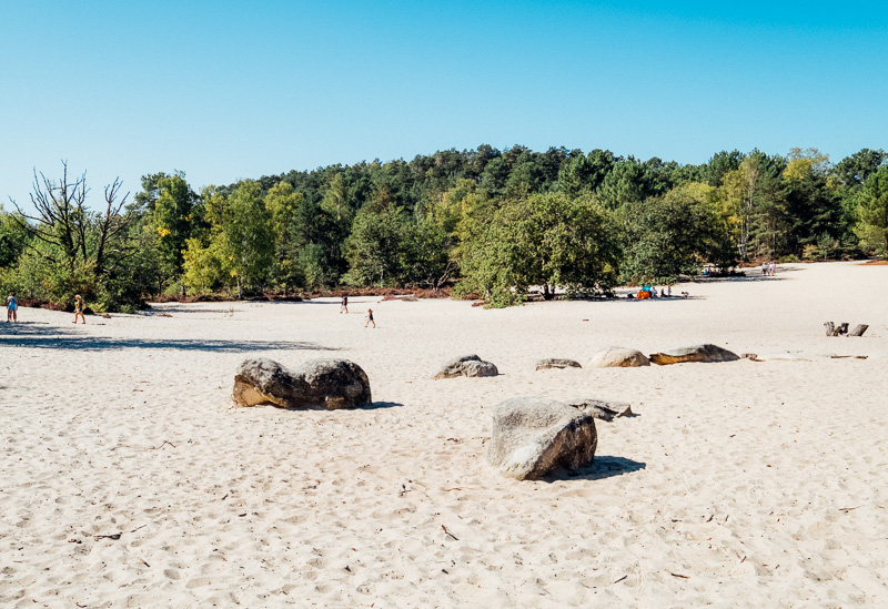 fontainebleau