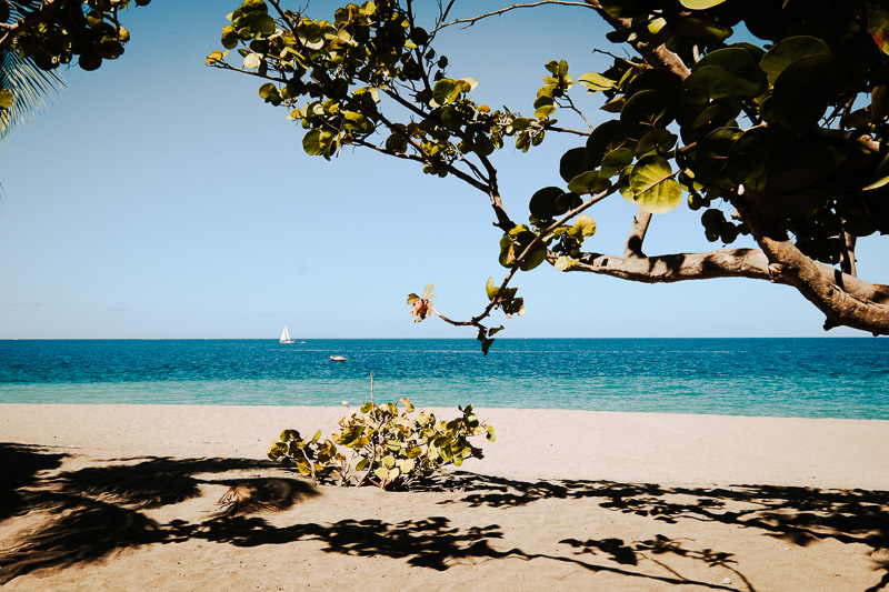 plage du coin martinique