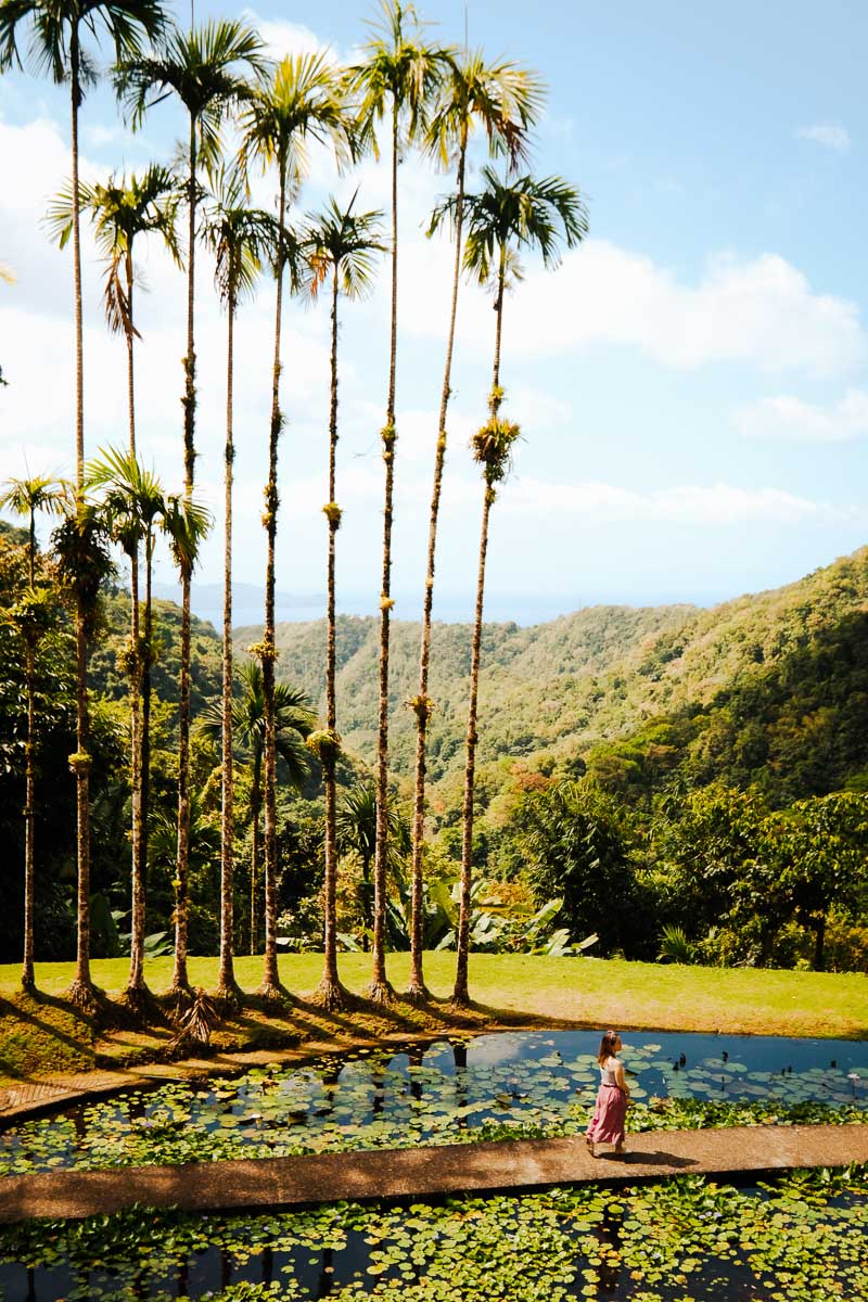 Jardin de Balata Martinique