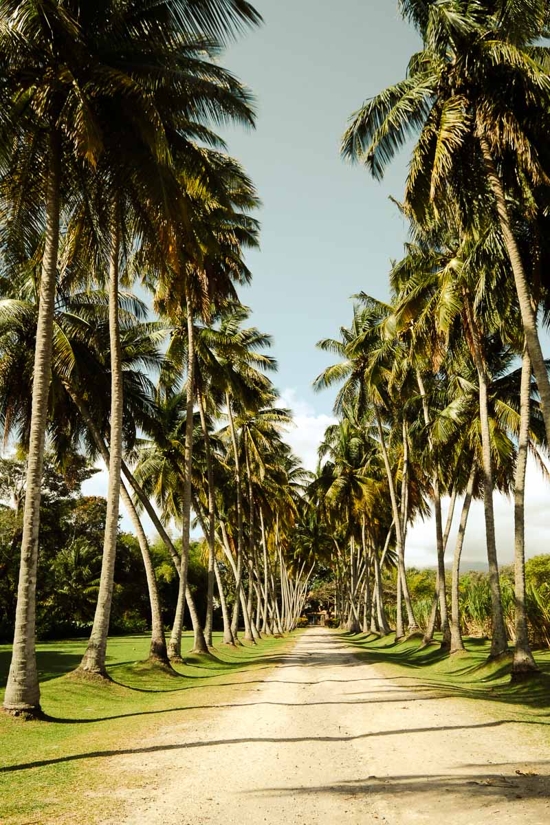 Grand Rivière martinique