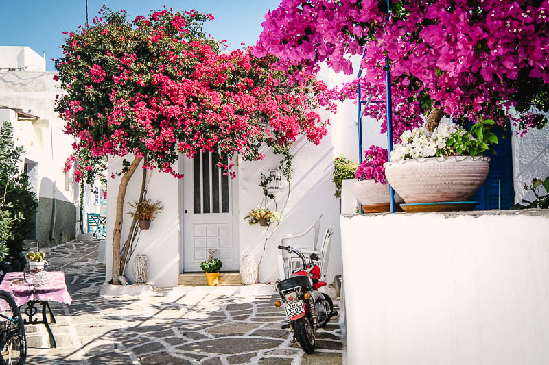 Prodromos paros