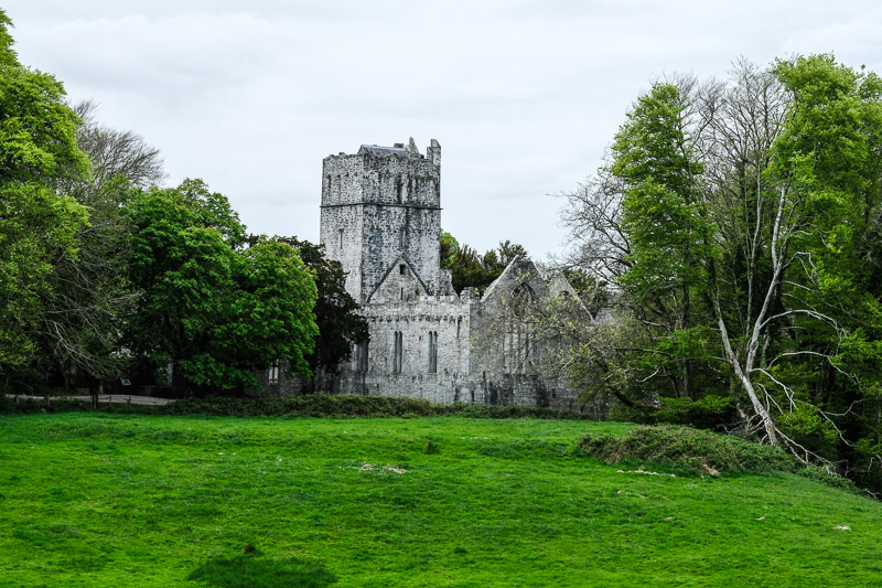 Abbaye de Muckross